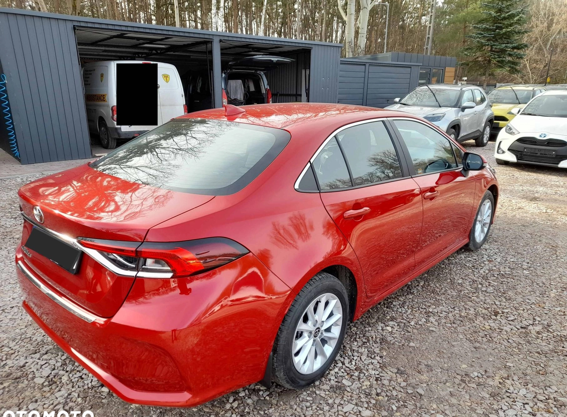 Toyota Corolla cena 125355 przebieg: 1, rok produkcji 2024 z Prochowice małe 37